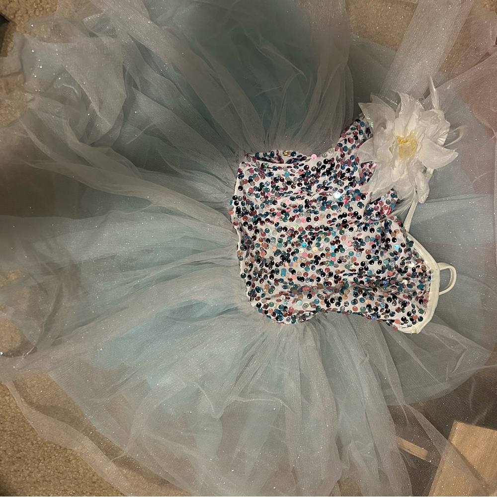 Small Child Ballet Costume